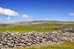 stone-walls-ireland-4[13]